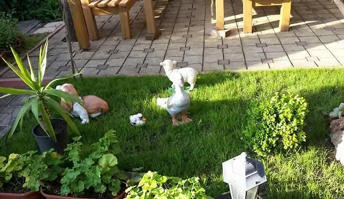 Къща за гости наш дом *