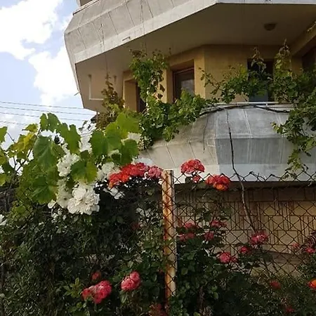 Nash Dom בית הארחה קברנה