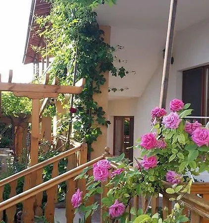 Guest house Nash Dom