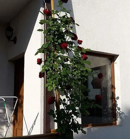 Pensjonat Nash Dom *
